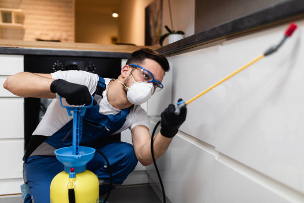 Professional Pest Control in Sierra Vista Southeast, AZ